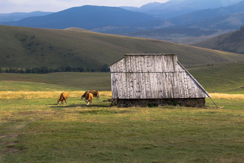 UNWTO meeting focuses on tourism in rural areas